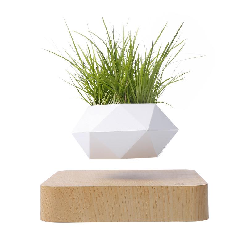 POLY Levitating Planter - Elevato Home Oak-Light wood / UK Decor