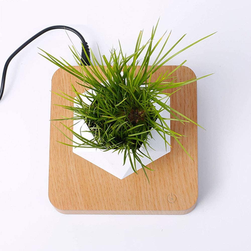 POLY Levitating Planter - Elevato Home Decor
