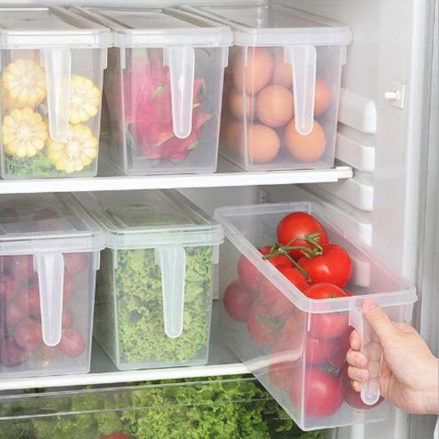 Transparent Non-Toxic Storage Box