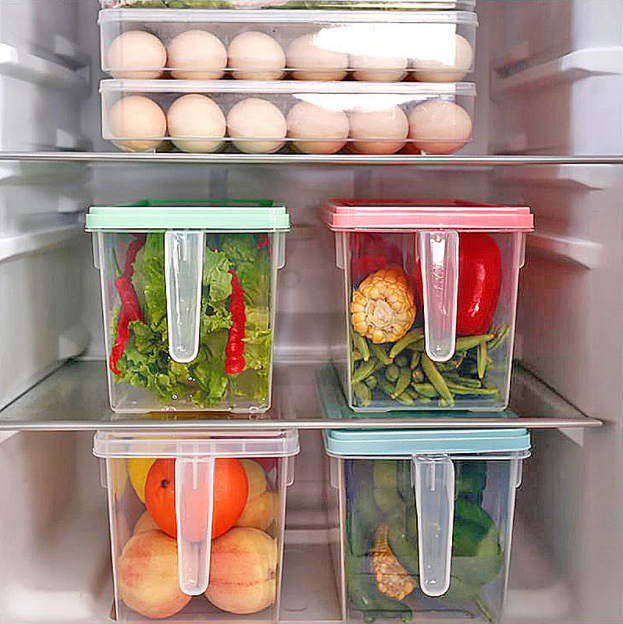 Transparent Non-Toxic Storage Box