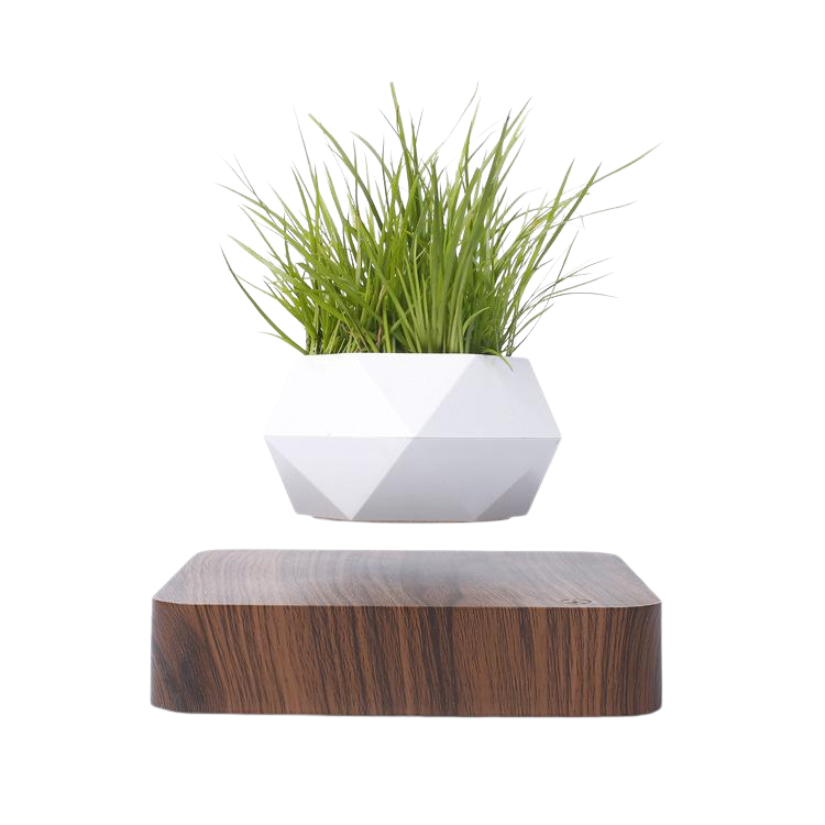 POLY Levitating Planter - Elevato Home Walnut-Dark wood / US Decor