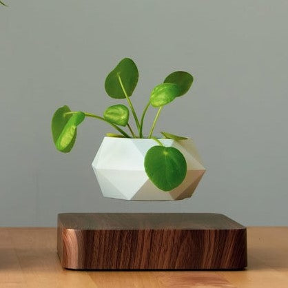 POLY Levitating Planter - Elevato Home Decor