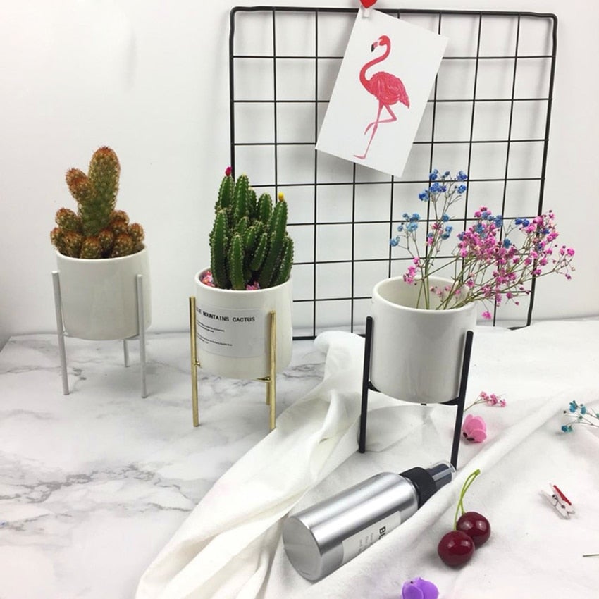 Plant Succulent Flowerpots - Elevato Home Decor