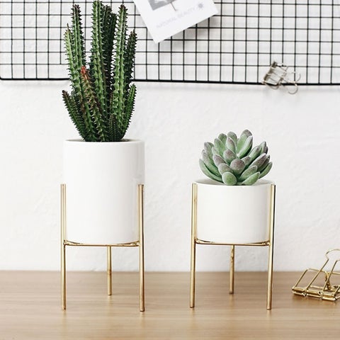 Plant Succulent Flowerpots - Elevato Home Decor