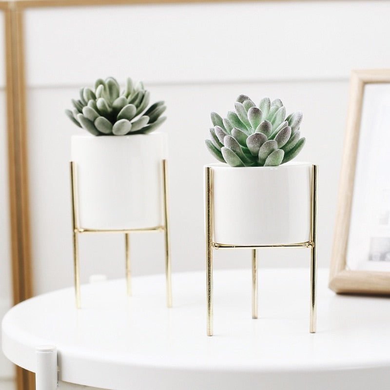 Plant Succulent Flowerpots - Elevato Home Decor