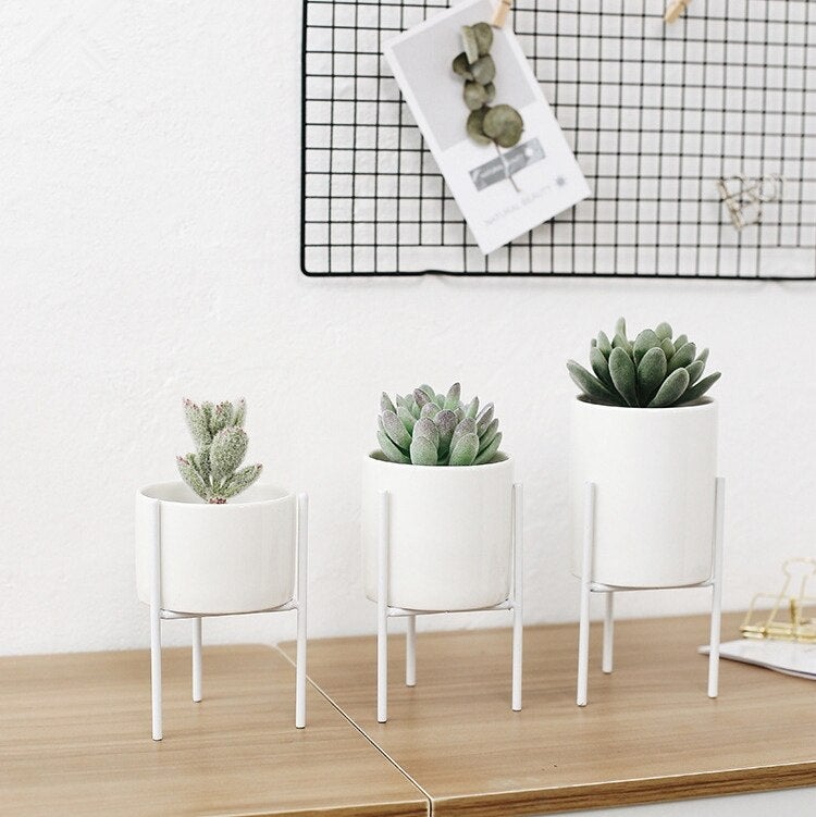 Plant Succulent Flowerpots - Elevato Home Decor
