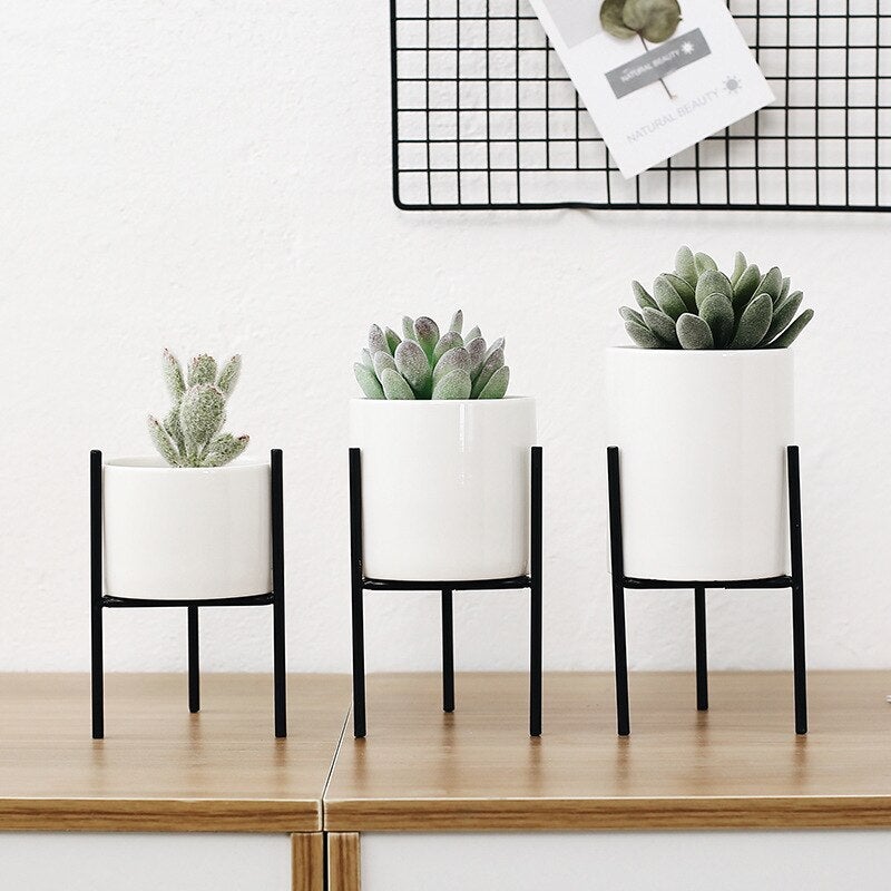 Plant Succulent Flowerpots - Elevato Home Decor