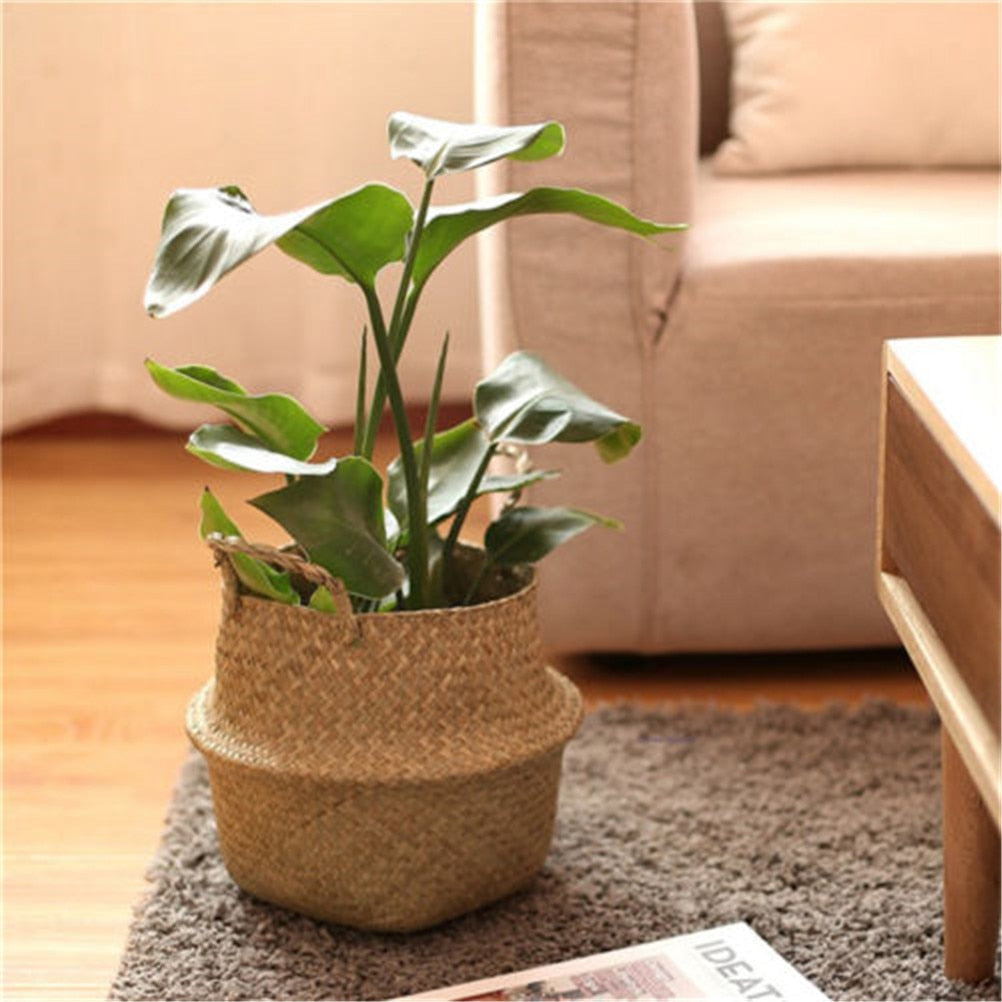 Wicker Foldable Planter Basket