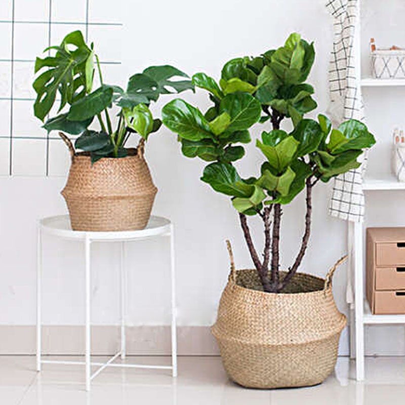 Wicker Foldable Planter Basket