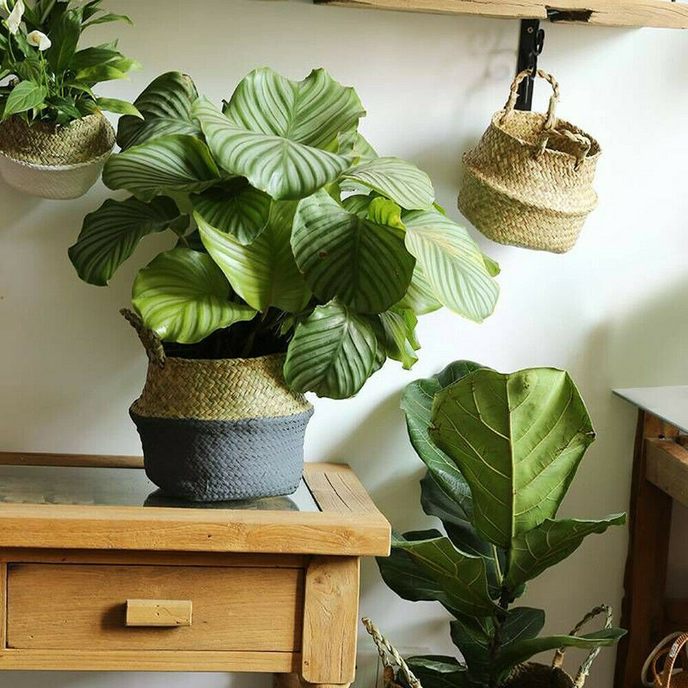 Wicker Foldable Planter Basket