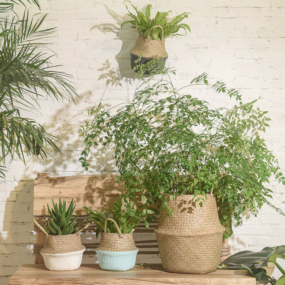 Wicker Foldable Planter Basket