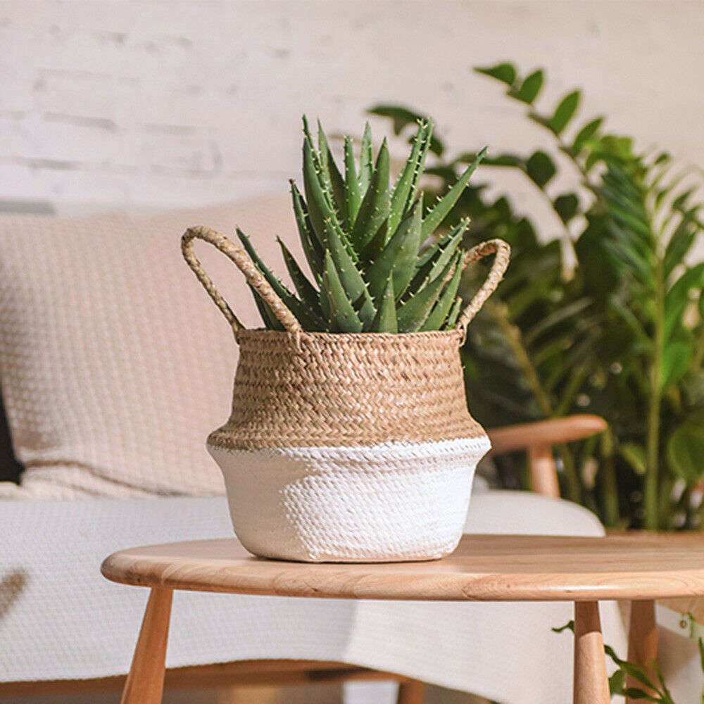 Wicker Foldable Planter Basket