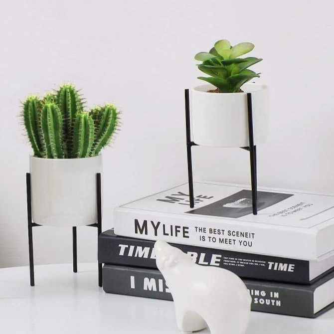 Plant Succulent Flowerpots - Elevato Home Decor