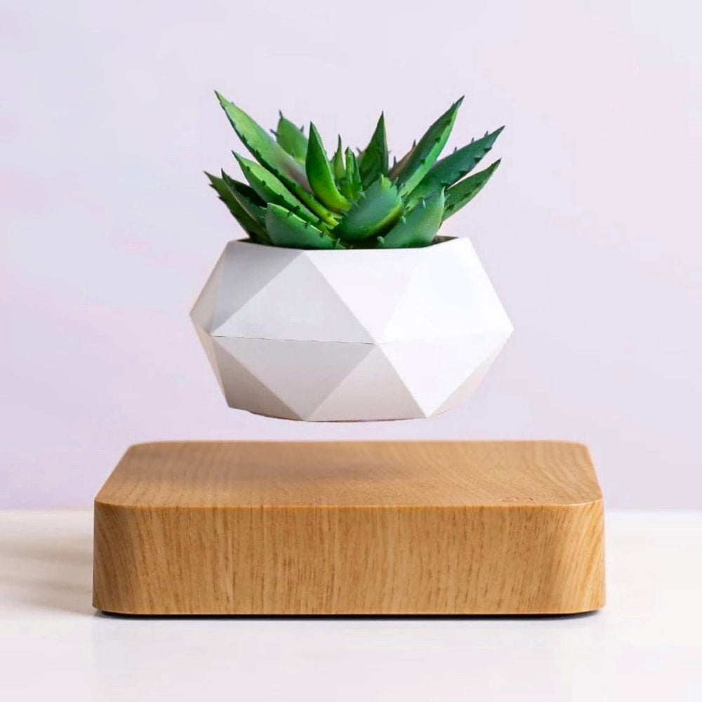 POLY Levitating Planter